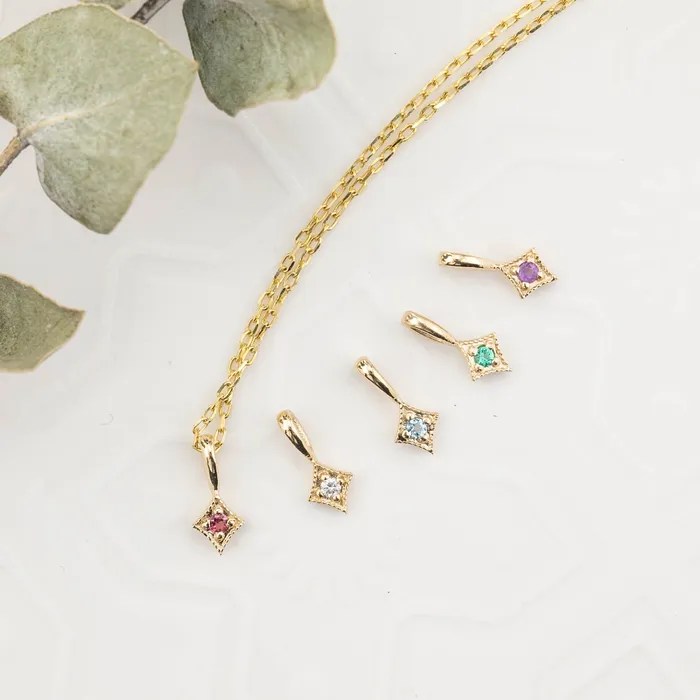 Envero Jewelry Charm Necklaces Birthstone Star Charm addons