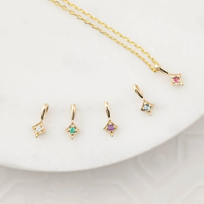 Envero Jewelry Charm Necklaces Birthstone Star Charm addons