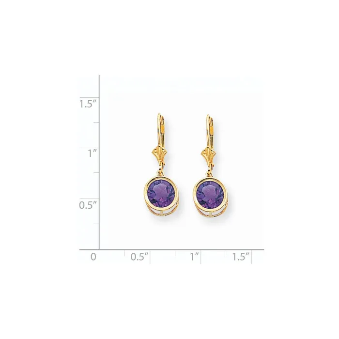 Earrings 14k Yellow Gold 8mm Amethyst Leverback Earrings Goldia