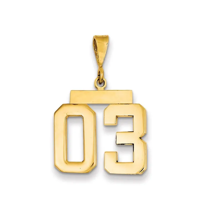 Goldia Charm Necklaces 14k Yellow Gold Medium Polished Number 03 on Top Charm
