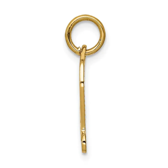 14k DIPLOMA Charm TreasureFineJewelers Charm Necklaces
