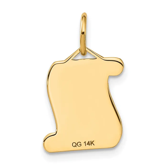 14k DIPLOMA Charm TreasureFineJewelers Charm Necklaces