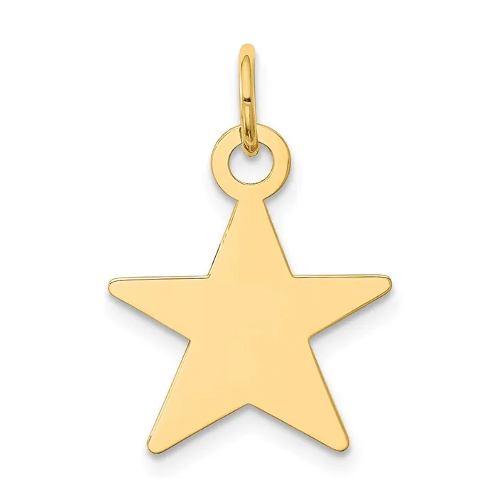 14k Yellow Gold Star Disc Charm TreasureFineJewelers Charm Necklaces