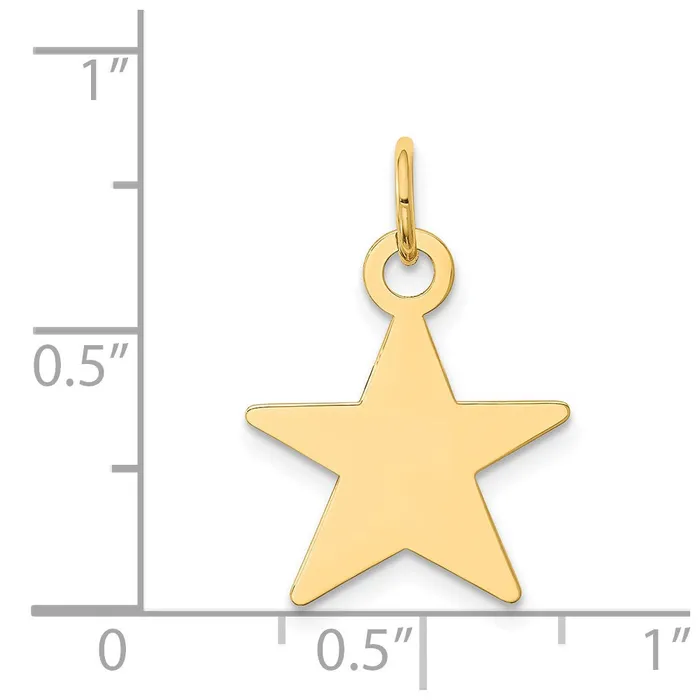 14k Yellow Gold Star Disc Charm TreasureFineJewelers Charm Necklaces