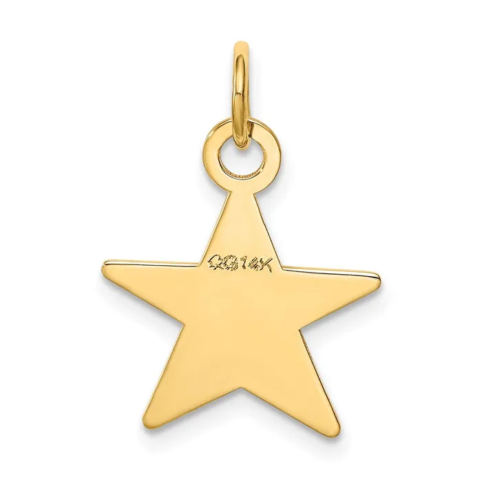 14k Yellow Gold Star Disc Charm TreasureFineJewelers Charm Necklaces