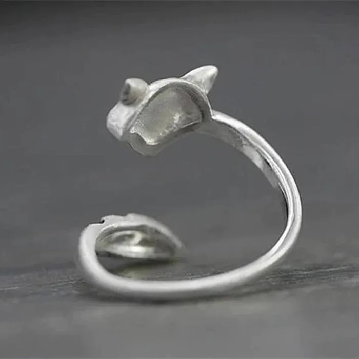 AliExpress Raccoon Ring Silver Open Design Cute Rings