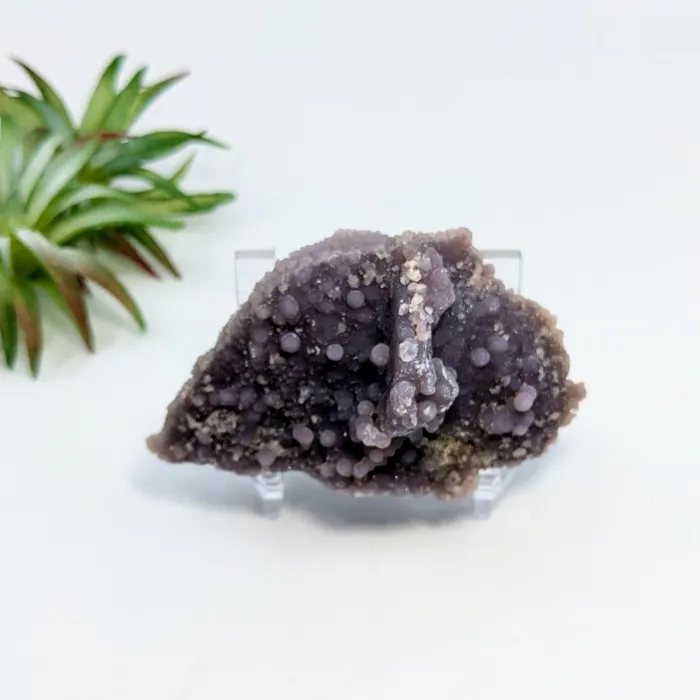 Grape Agate 33 Cluster Specimen LV6804 Bliss Crystals Charm Necklaces